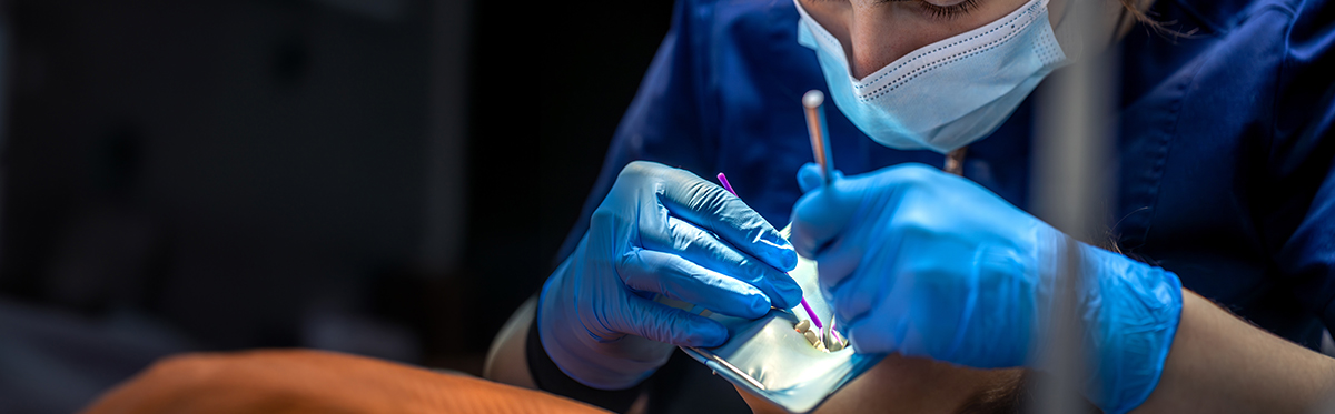 best dentist in Tijuana Mexico